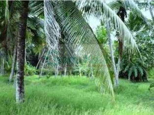 Land For Sale in Malabe
