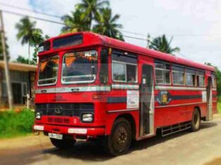 TATA BUS FOR SALE