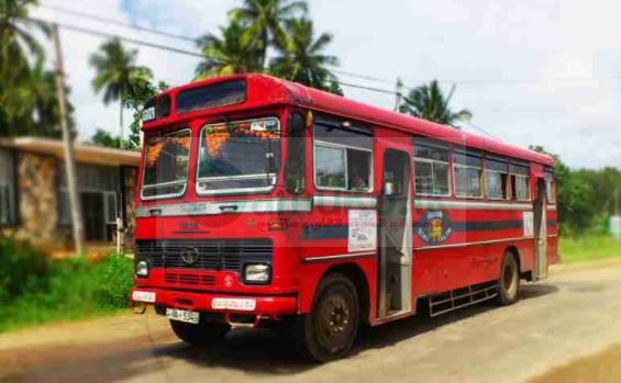 TATA BUS FOR SALE