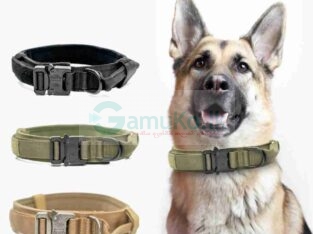 Dog Collar (Red Color)