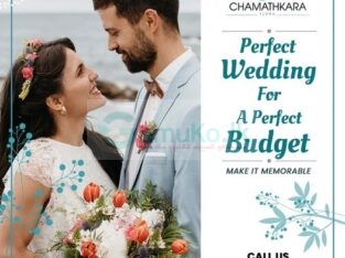 Wedding Decor | Chamathkara Flora