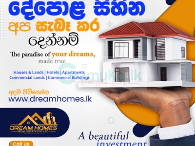 Dream Homes Real Estate