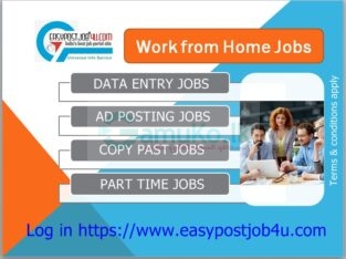 Hiring Fresher candidates for data entry jobs