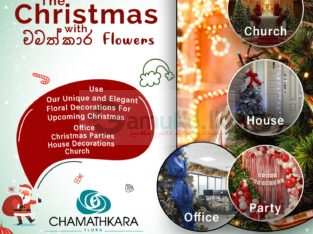Decorate The Christmas With Chamathkara Flowers