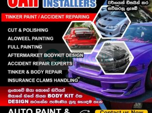 Auto Paint & Body Work Shop