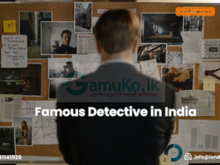 Trusted and Famous Detective in India