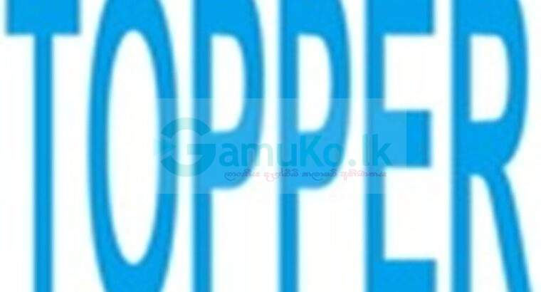China Valve Packing Co., Ltd.