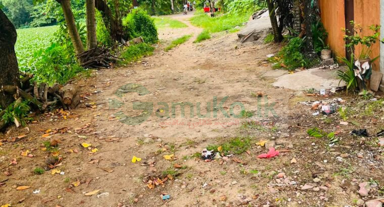 House for Sale in Colombo15