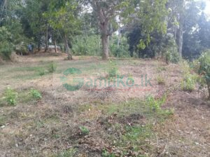 Land for Sale in Weligama